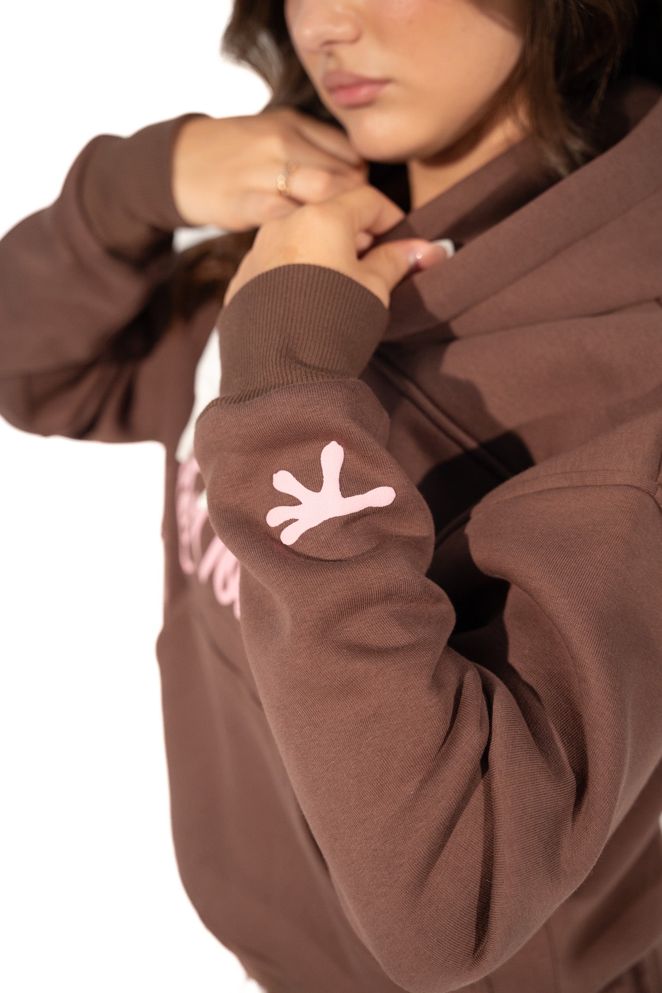 LT2 BROWN HOODIE