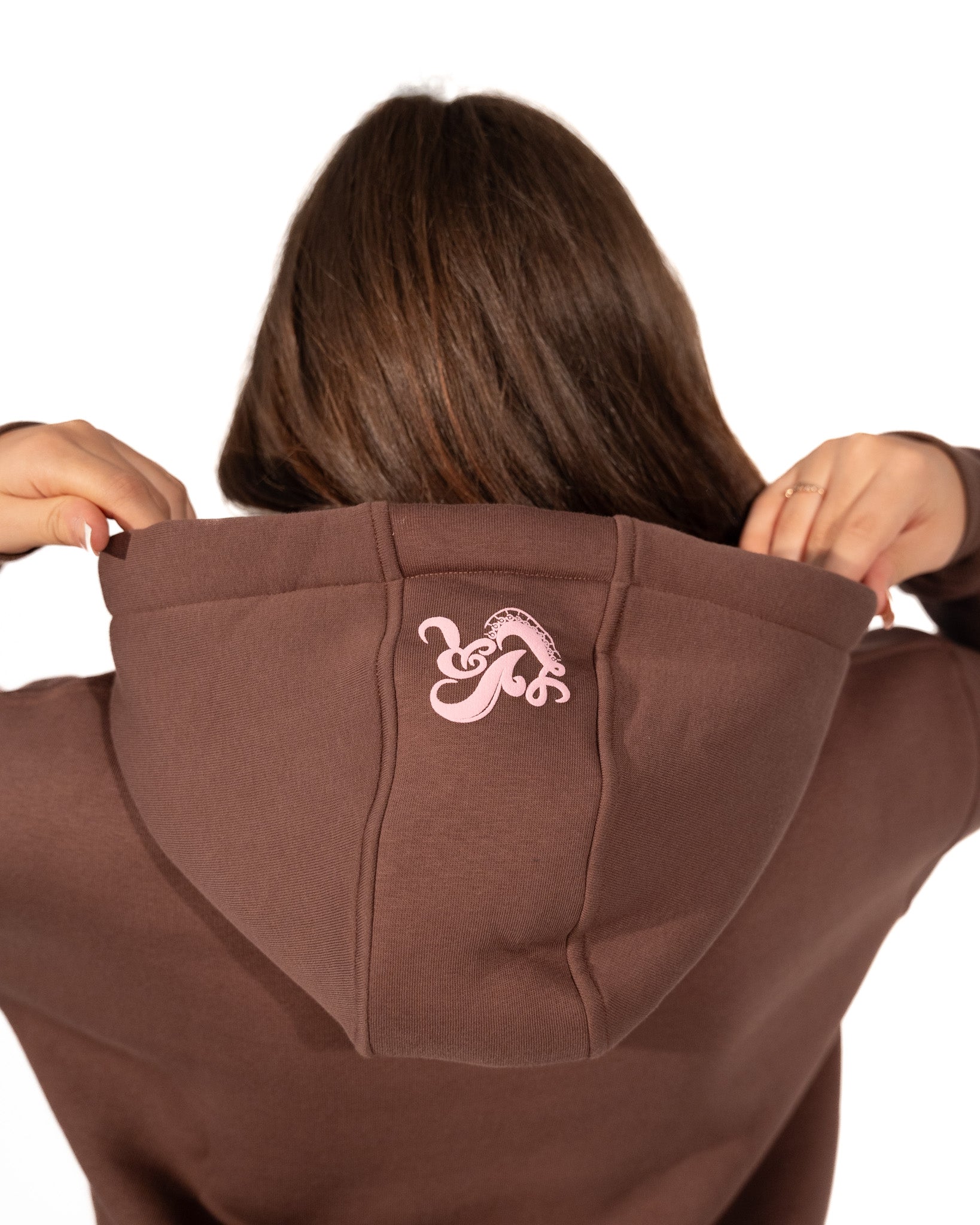 LT2 BROWN HOODIE